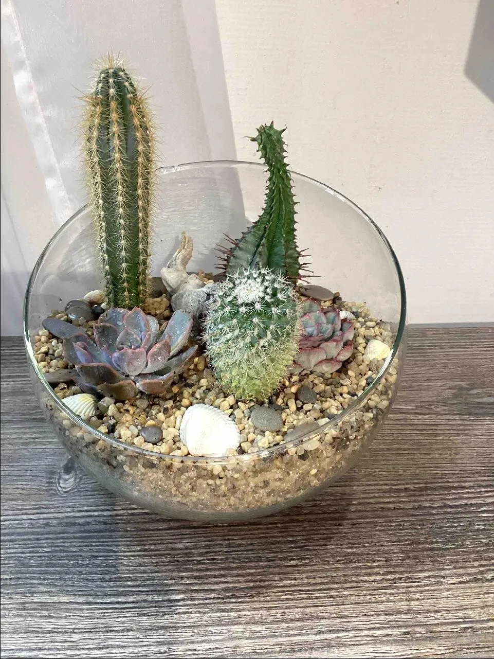 Флорариум в вазе с косым срезом