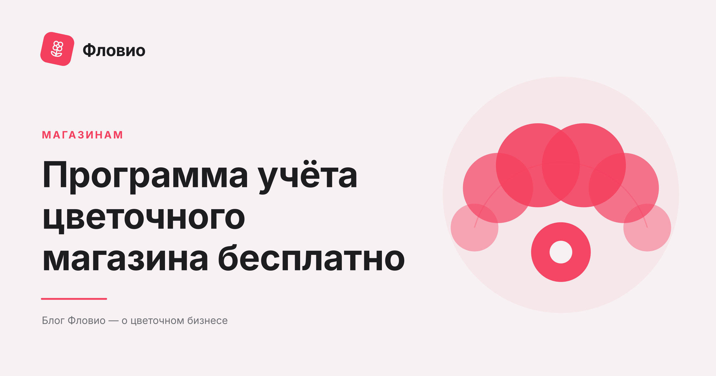 Программа учёта цветочного магазина бесплатно: что выбрать и где ограничения