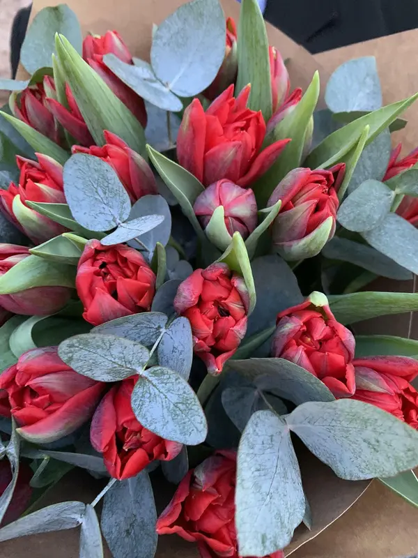 Монобукет Red Princess